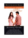 Cover image for A Walk to Remember